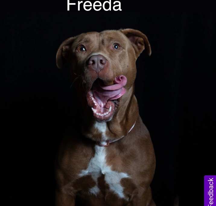Photo of Freeda