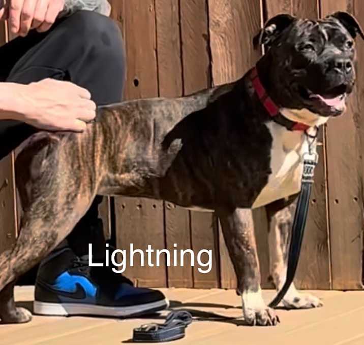 Photo of Lightning