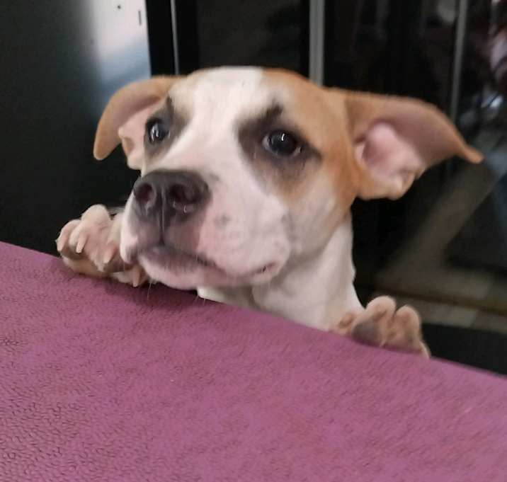 Photo of Faith