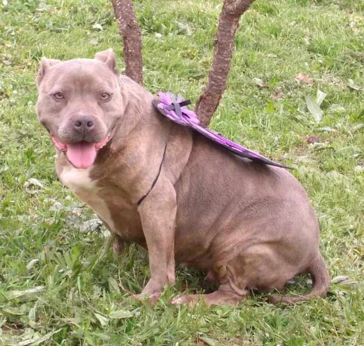Photo of Cora