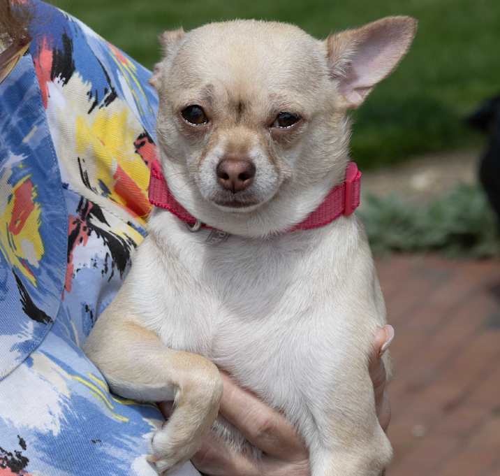 Photo of Axle