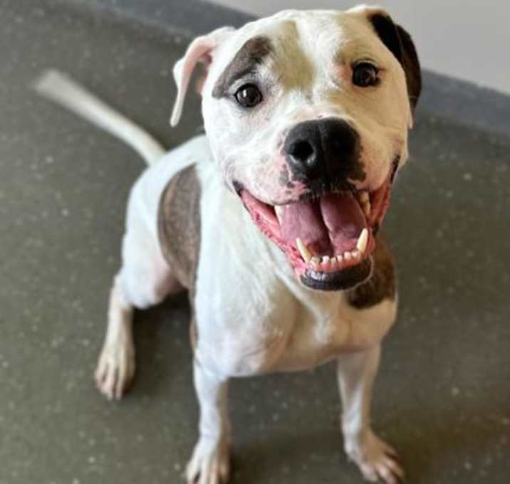 Photo of Jax