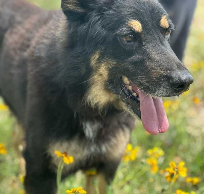 Photo of Max