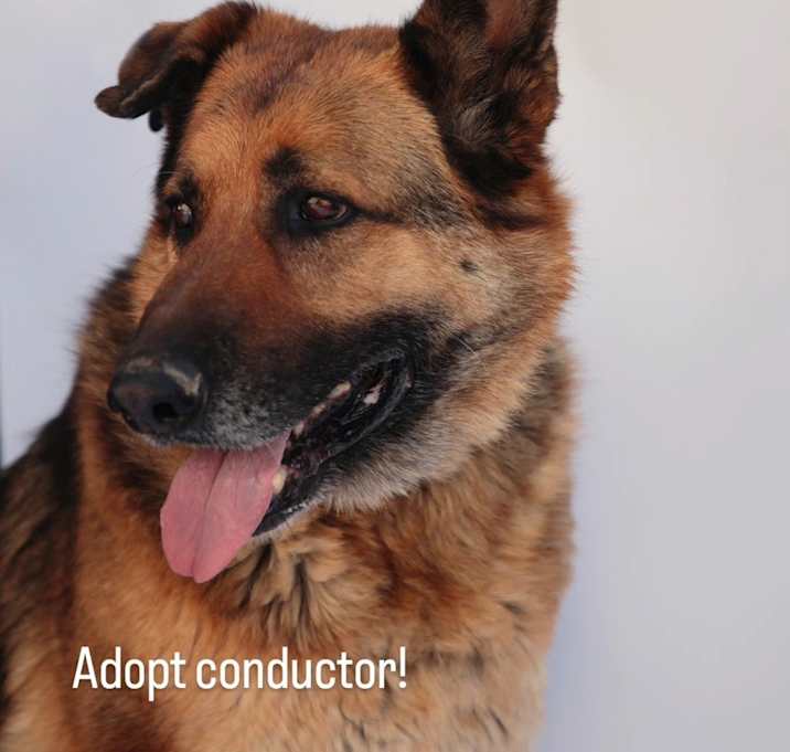 Photo of Conductor