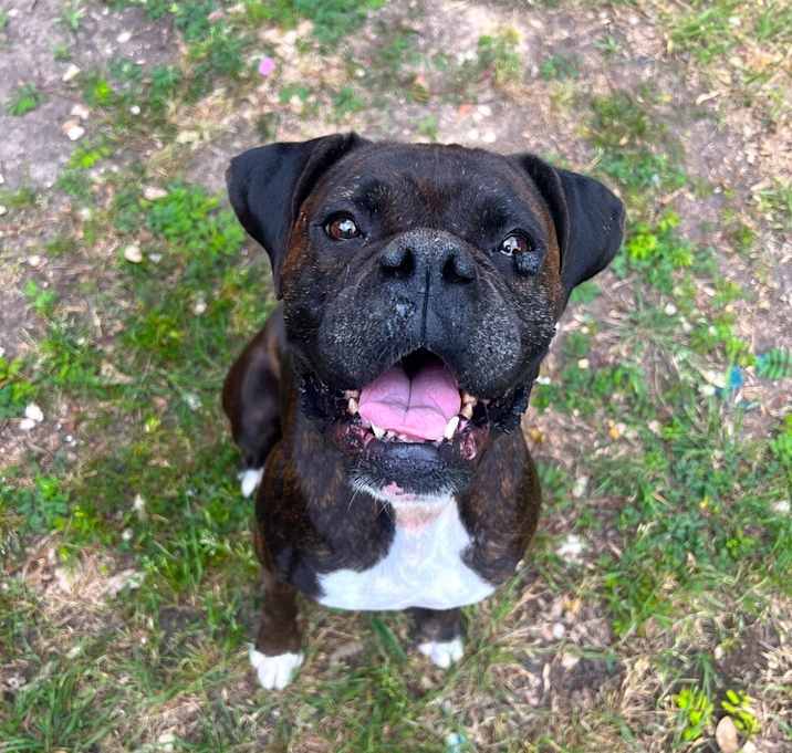 Photo of Bonnie IV