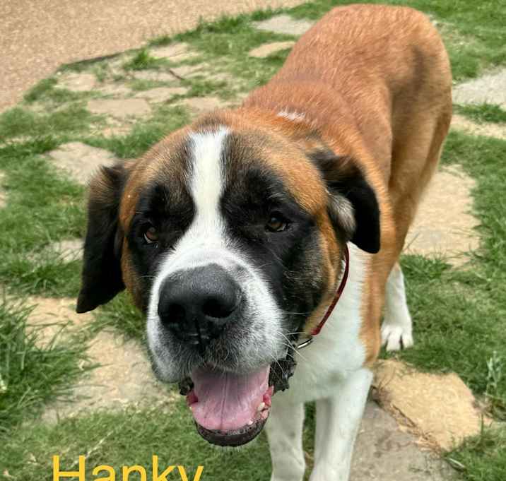 Photo of Hanky Panky