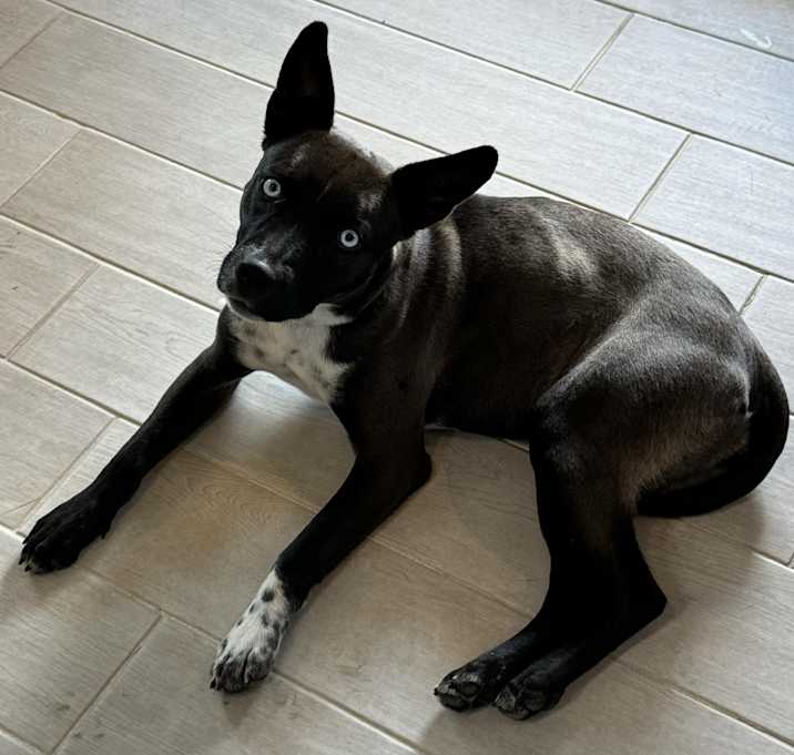 Photo of Mercy