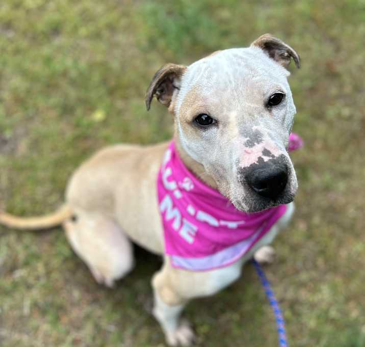Photo of Skye