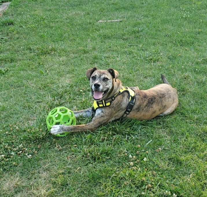 Photo of Freya