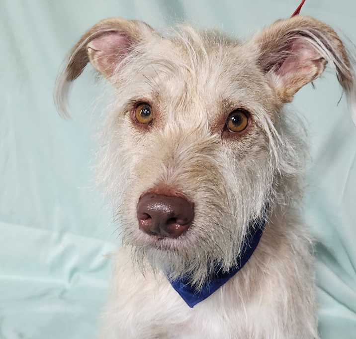 Photo of Lucas