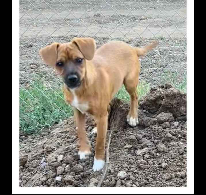 Photo of NUTMEG