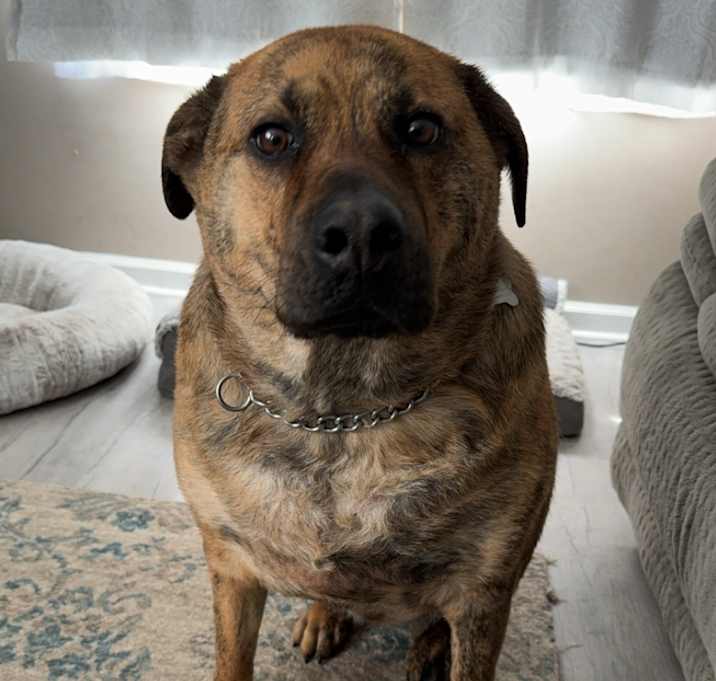Photo of Cooper