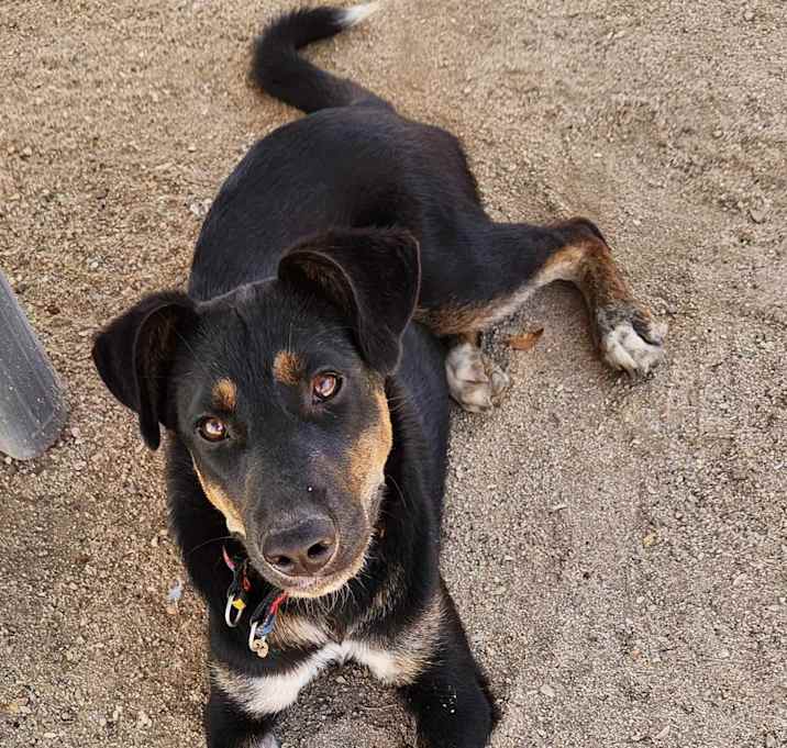 Photo of Wilma