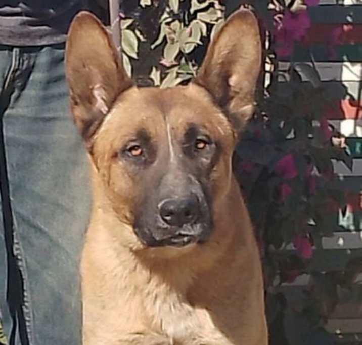 Photo of Duke G
