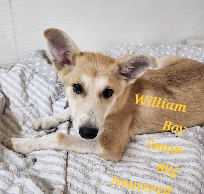 Photo of William