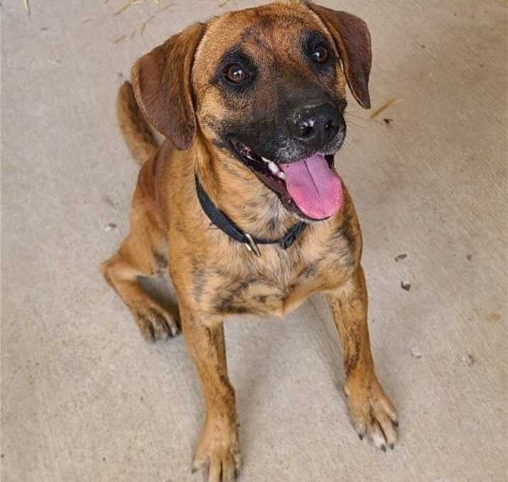 Photo of Odin