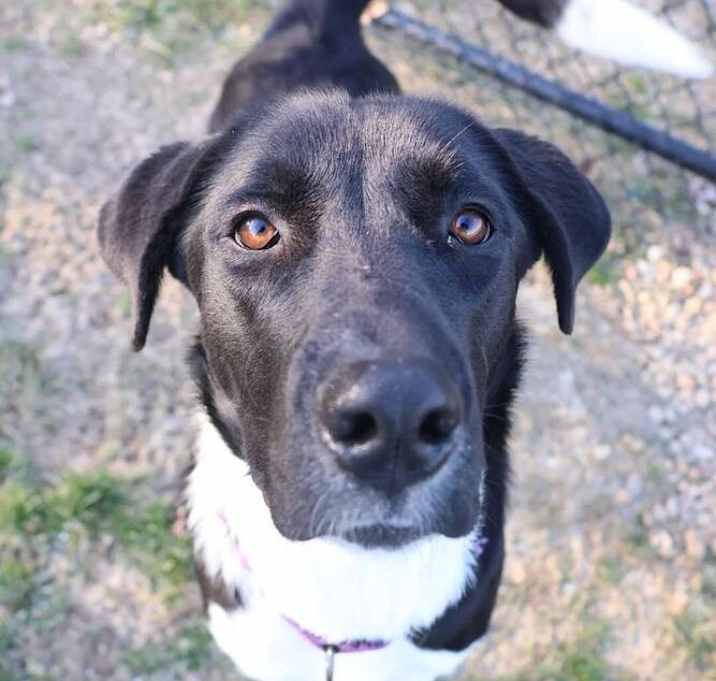 Photo of Faye