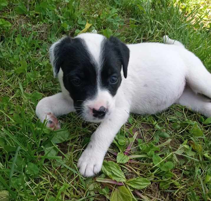 Photo of Sugar