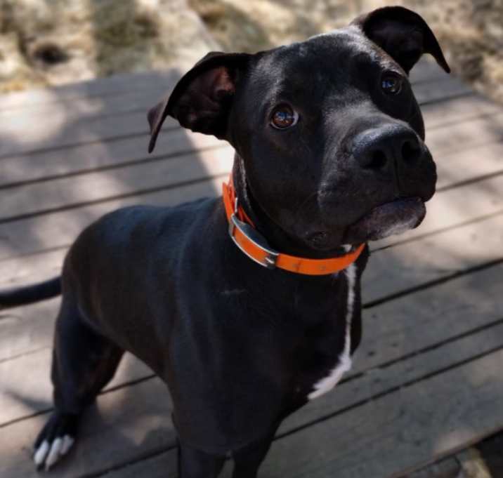 Photo of Charlie