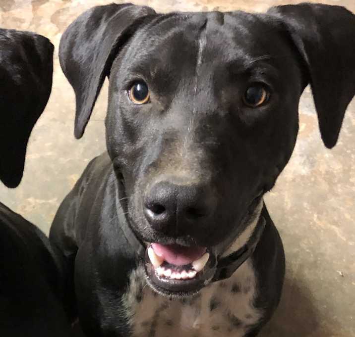 Photo of Jasper