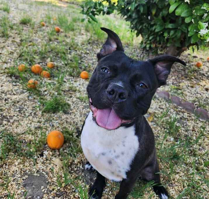 Photo of Etta