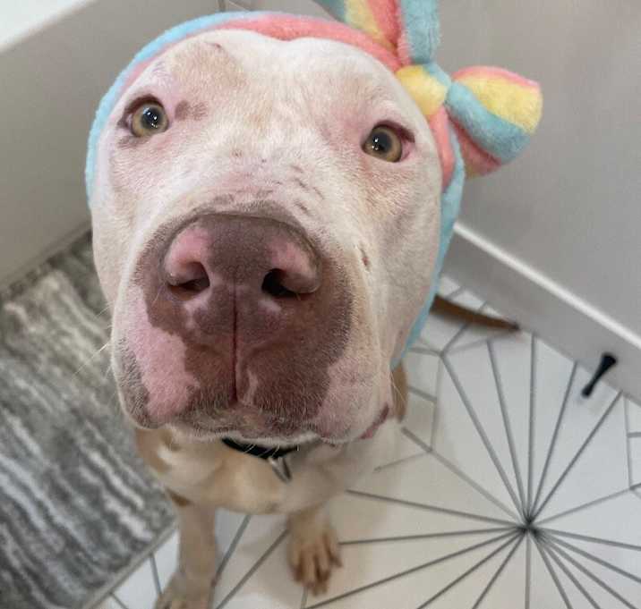 Photo of Penelope
