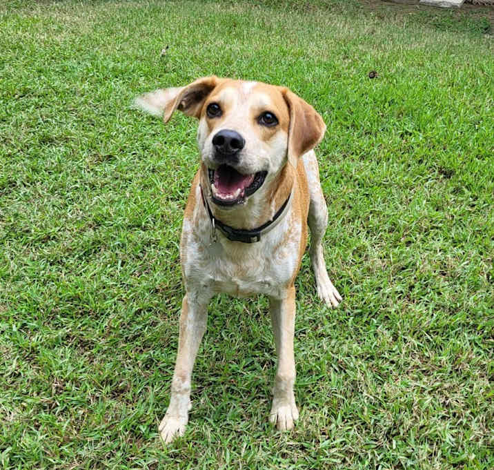 Photo of Maximus