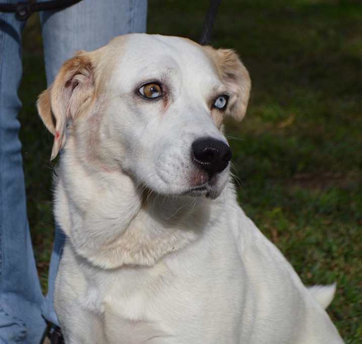 Photo of Annie