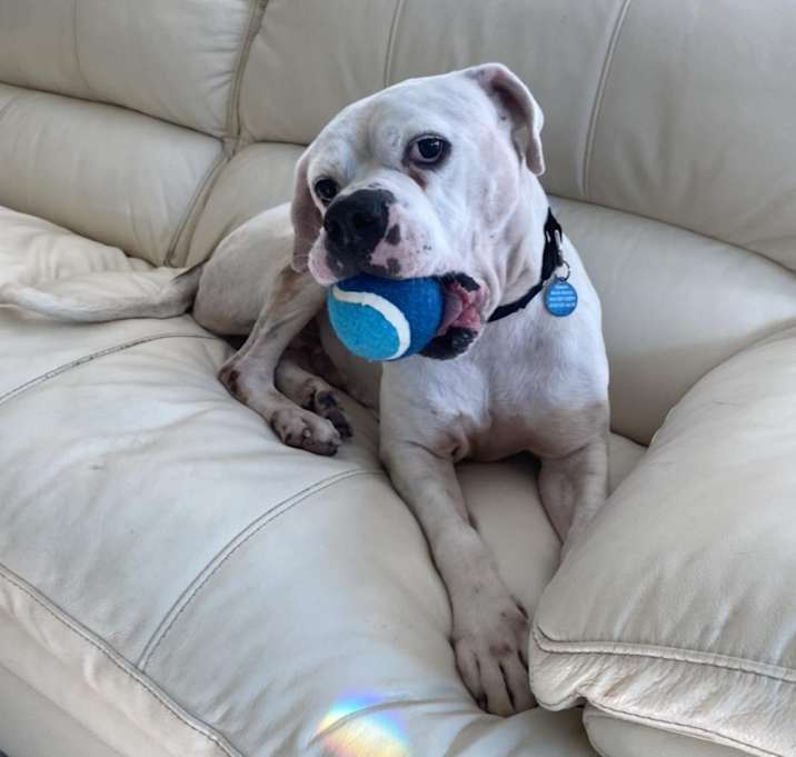 Photo of SAMMY