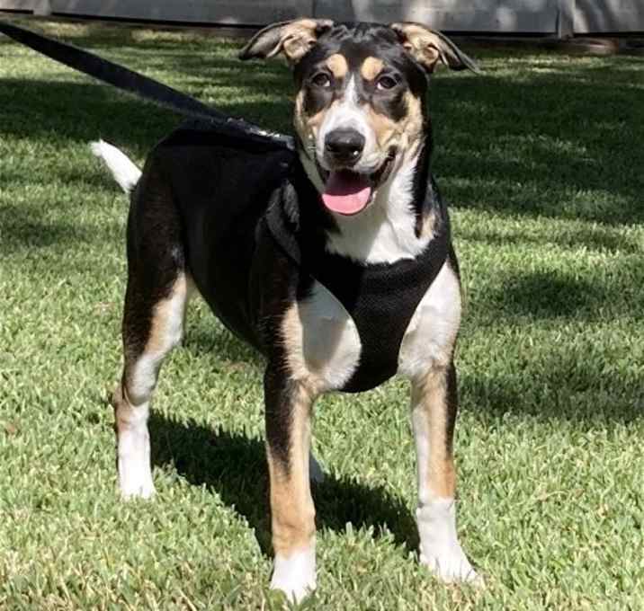 Photo of Xena