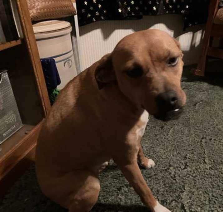 Photo of Lola