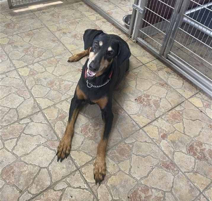 Photo of Tilly