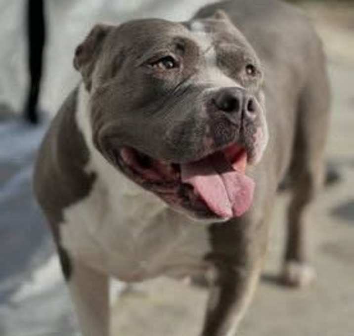 Photo of Titi