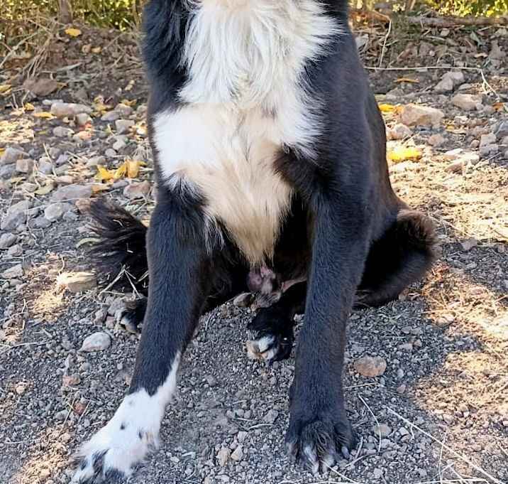 Photo of Nico