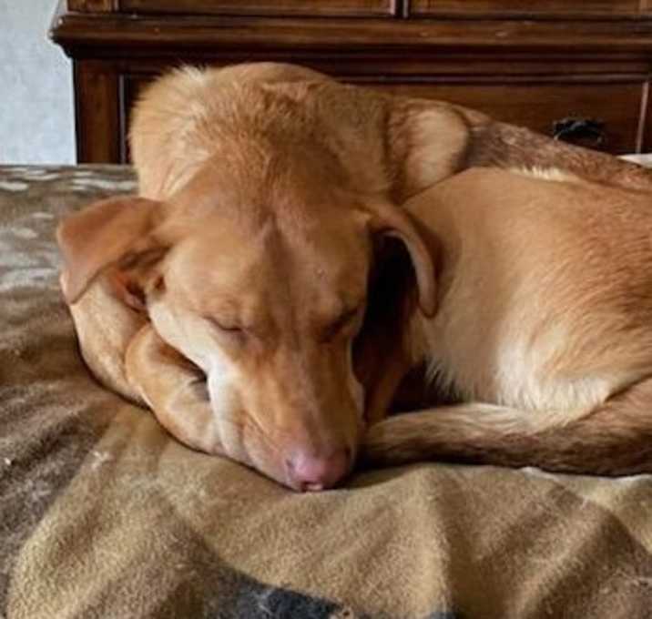 Photo of REMY