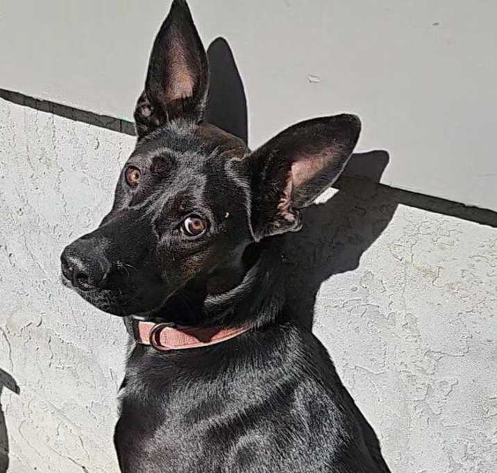 Photo of Hera