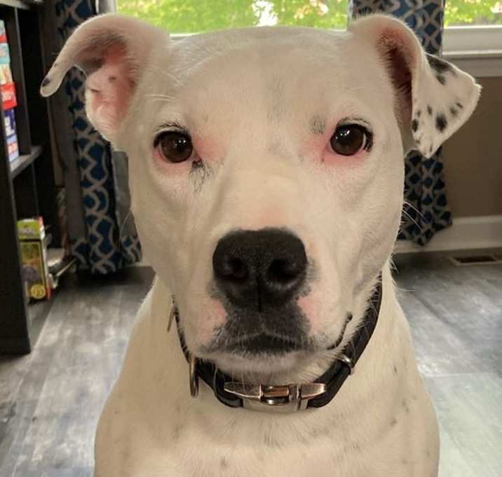Photo of Lucy