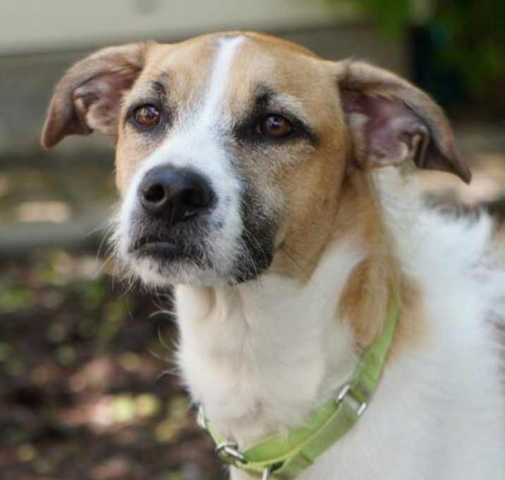 Photo of Thelma