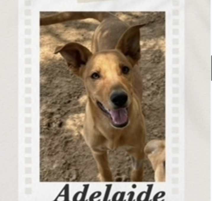 Photo of Adelaide