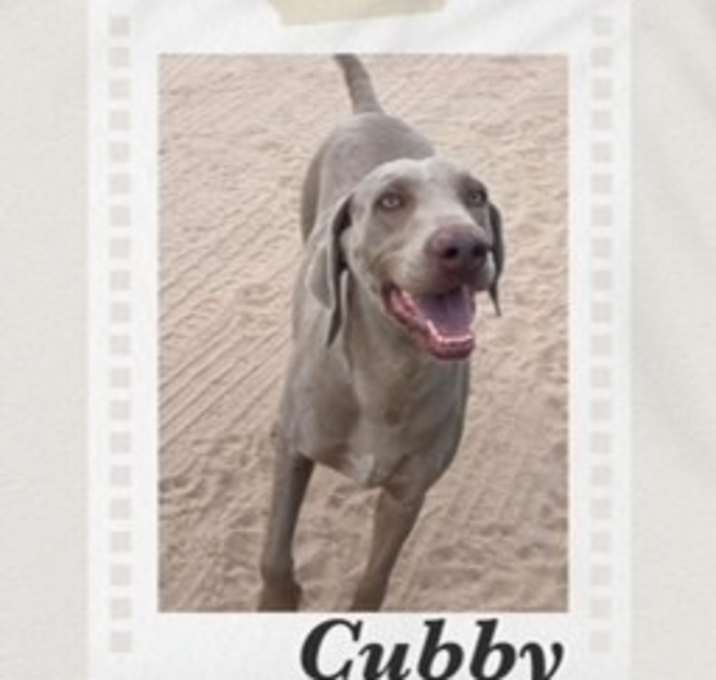 Photo of Cubby