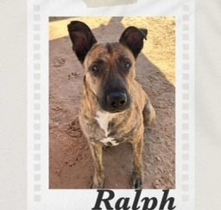 Photo of Ralph