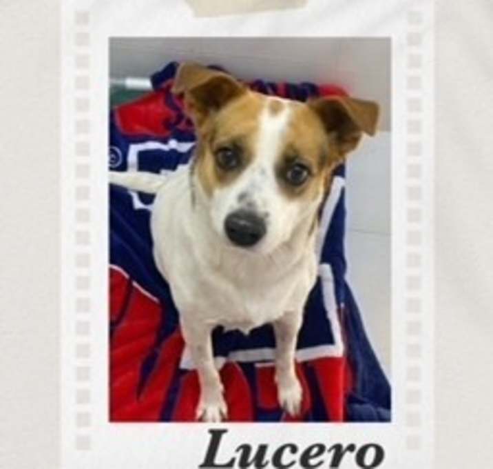 Photo of Lucero