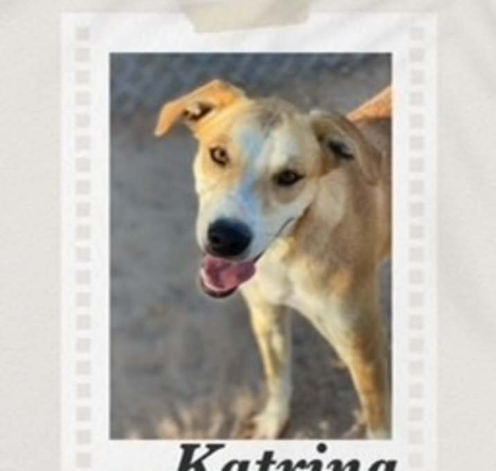 Photo of Katrina