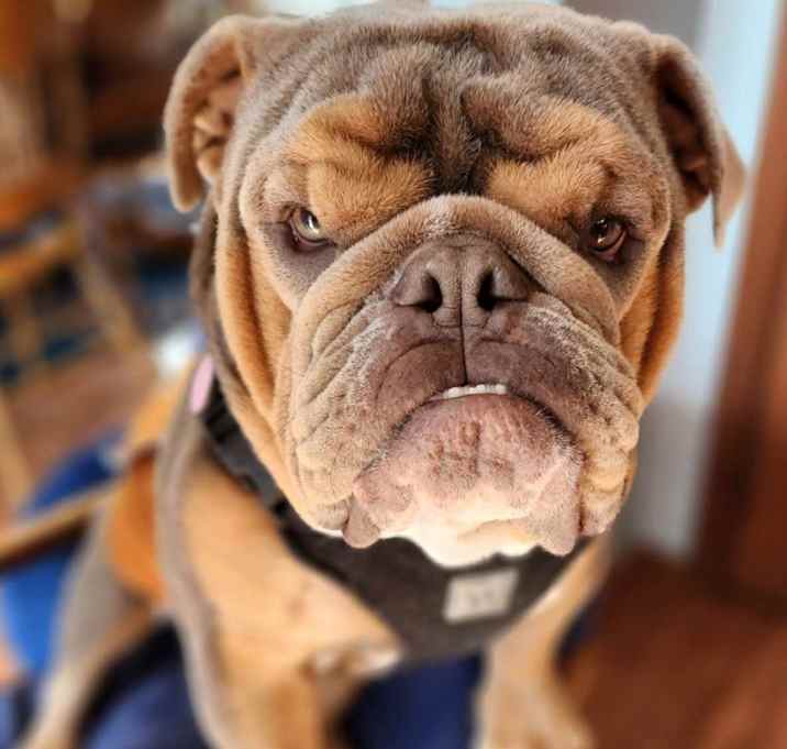 Photo of Billy