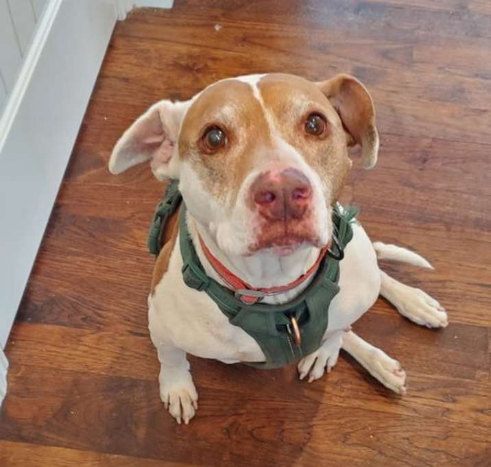 Photo of Bentley