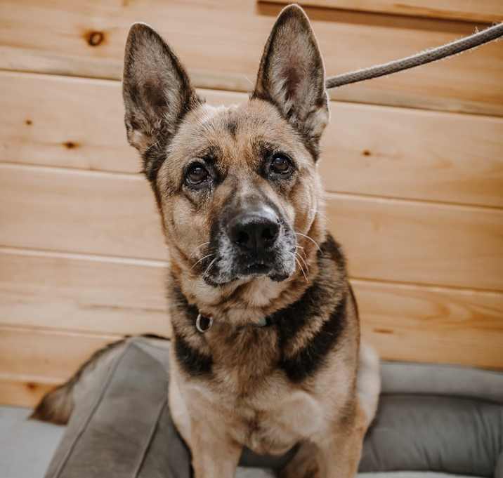 Photo of Oakley