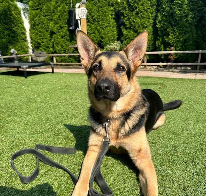 Photo of Captain