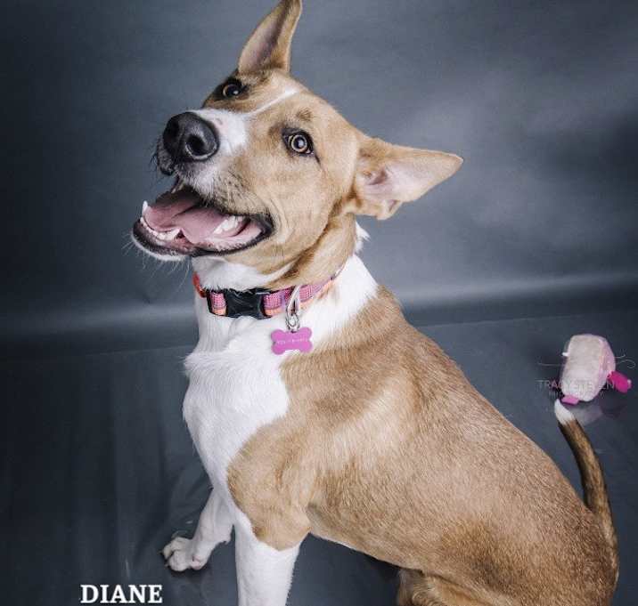 Photo of Diane