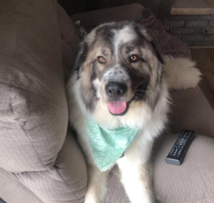 Photo of maggie