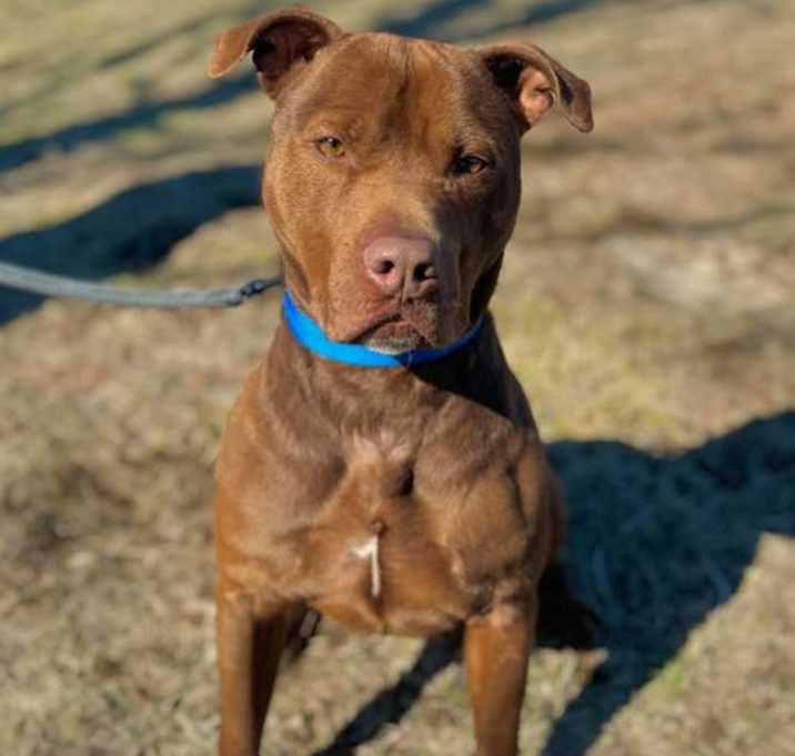Photo of Rylo